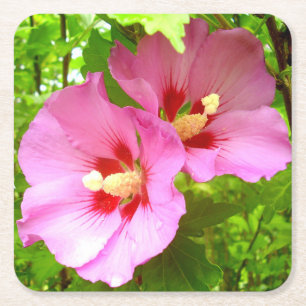 Dessous-de-verre Carré En Papier Pink Hibiscus Paper Coaster