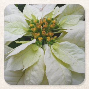 Dessous-de-verre Carré En Papier Poinsettia Elegant Christmas Holiday Floral