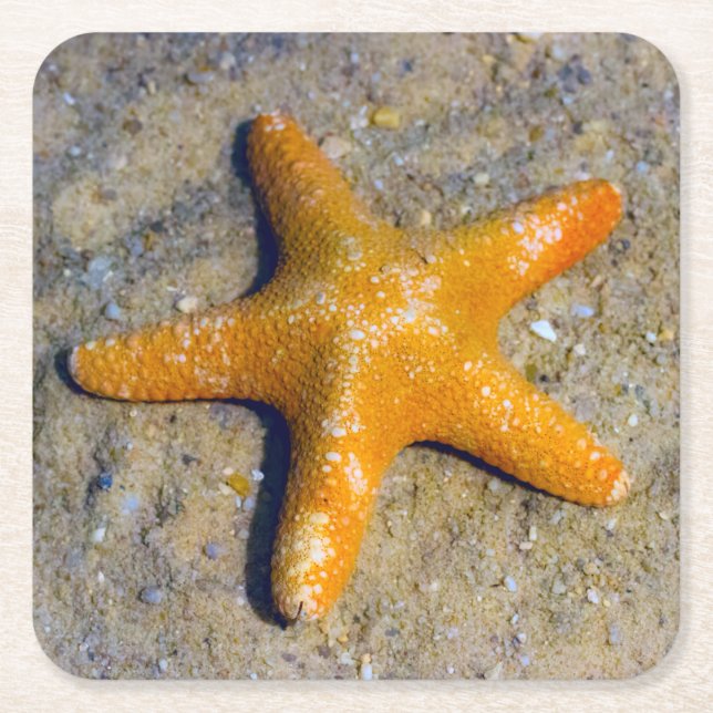 Dessous-de-verre Carré En Papier Poisson étoilée dans le sable (Devant)