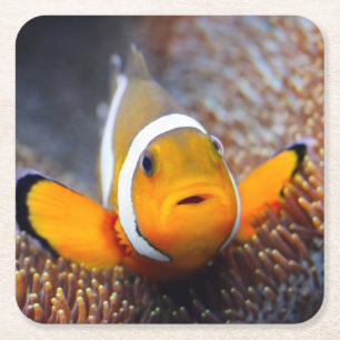 Dessous-de-verre Carré En Papier Poissons tropicaux de récif - Clownfish