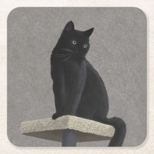 Dessous-de-verre Carré En Papier Pourcentage de chat noir