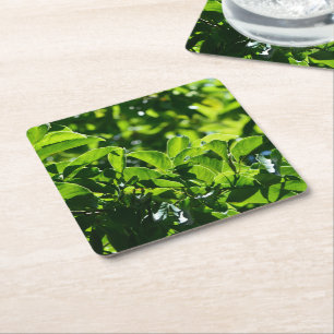 Dessous-de-verre Carré En Papier printemps frais, dessous de verre de papier feuill