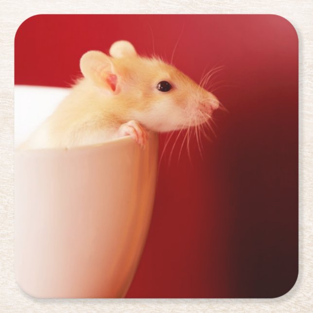 Dessous-de-verre Carré En Papier Rat de bébé (Devant)