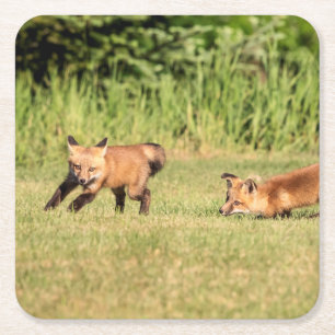 Dessous-de-verre Carré En Papier Red Fox Kits Jouer