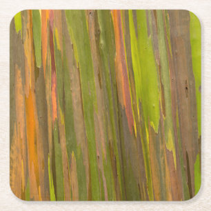 Dessous-de-verre Carré En Papier Résumé de l'écorce d'eucalyptus