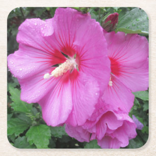 Dessous-de-verre Carré En Papier Rose de Sharon Floral Photography