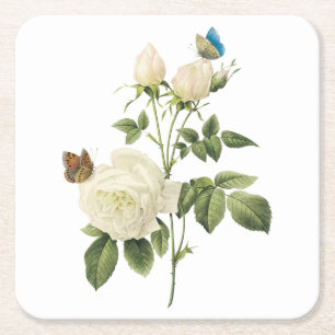 Dessous-de-verre Carré En Papier rose de thé (Rosa indica) par Redouté
