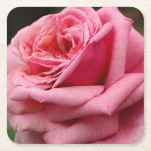 Dessous-de-verre Carré En Papier Rose rose I Jolie photo florale