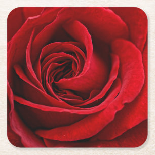 Dessous-de-verre Carré En Papier Rose Rouge Éclatante de Près
