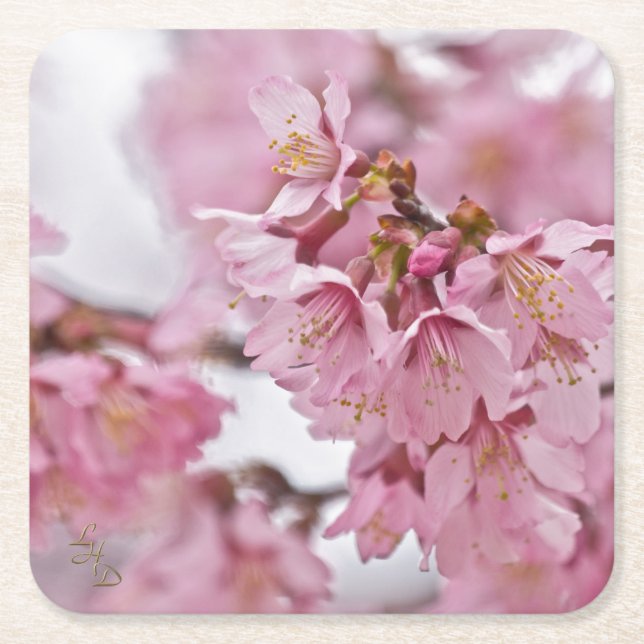 Dessous-de-verre Carré En Papier Sakura Cherry Blossoms rose pâle (Devant)