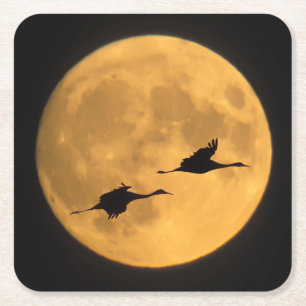 Dessous-de-verre Carré En Papier Sandhill Cranes   National Wildlife Reserve