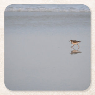Dessous-de-verre Carré En Papier Sandpiper Bird Beach Nature Photographie côtière