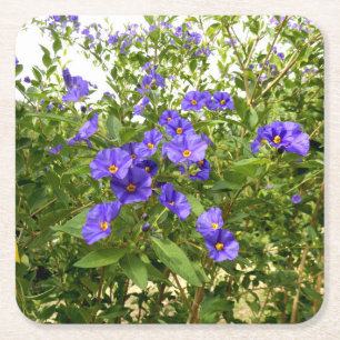 Dessous-de-verre Carré En Papier Sisyrinchium Angustifolium Paper Coaster