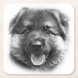 DESSOUS-DE-VERRE CARRÉ EN PAPIER SOIS COMME BONK !