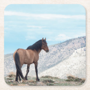 Dessous-de-verre Carré En Papier Stallion Wild Mustang