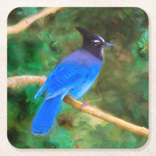Dessous-de-verre Carré En Papier Steller's Jay Painting - Art original pour oiseaux