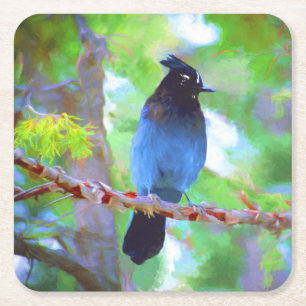 Dessous-de-verre Carré En Papier Steller's Jay Painting - Art original pour oiseaux