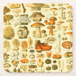 Dessous-de-verre Carré En Papier Tabouret de toilette Vintage de champignons Illust