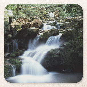 Dessous-de-verre Carré En Papier Tennessee, Parc national des Great Smoky Mountains