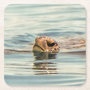 Dessous-de-verre Carré En Papier Tête au-dessus de la tortue de l'eau Ocean Wildlif
