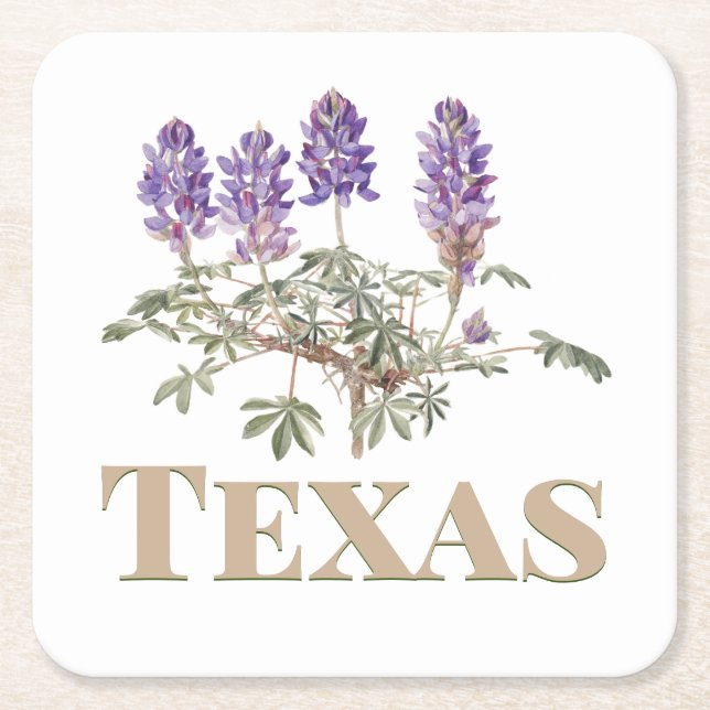 Dessous-de-verre Carré En Papier Texas Bluebonnet 2 (Devant)