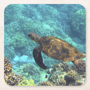 Dessous-de-verre Carré En Papier tortue dans la mer
