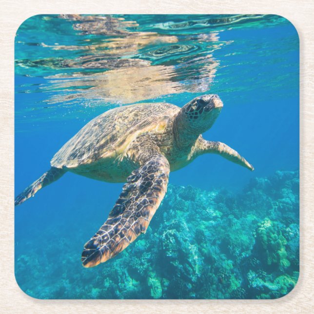 Dessous-de-verre Carré En Papier Tortue de mer (Devant)