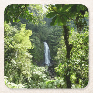 Dessous-de-verre Carré En Papier Trafalgar Falls Tropical Rainforest Photographie