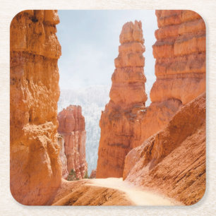 Dessous-de-verre Carré En Papier Traînée de parc national de canyon de Bryce