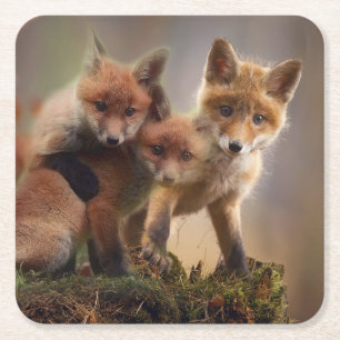 Dessous-de-verre Carré En Papier Triplets Foxy