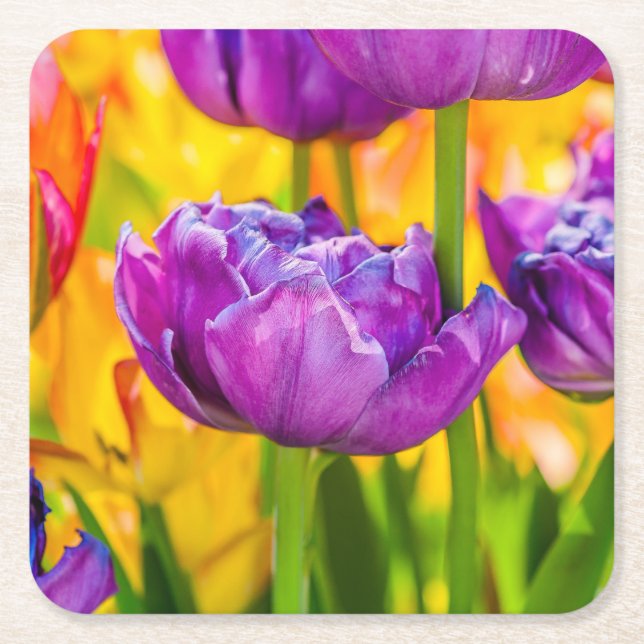 Dessous-de-verre Carré En Papier Tulipes Enchantant rose profond (Devant)
