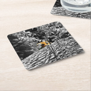 Dessous-de-verre Carré En Papier Tyger Peek-a-boo Coaster