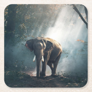 Dessous-de-verre Carré En Papier Un éléphant asiatique dans un défrichement éclairé