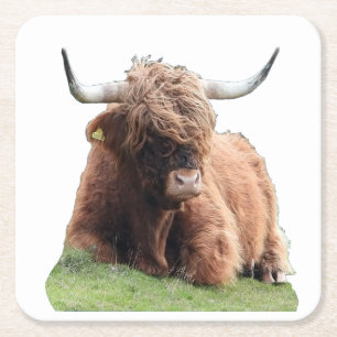 Dessous-de-verre Carré En Papier Vache Écossaise des Highlands Mignonne Ferme de Bé