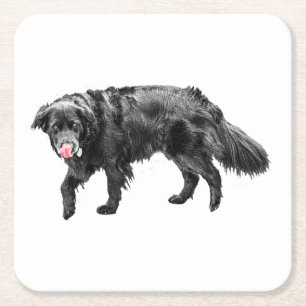 Dessous-de-verre Carré En Papier Vapeur de cannelle, Lick d'araignée