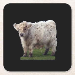 Dessous-de-verre Carré En Papier Veau des Highlands Bébé Vache Écossaise Mignonne A