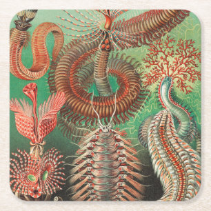 Dessous-de-verre Carré En Papier Vers, Annélides Chaetopoda par Ernst Haeckel