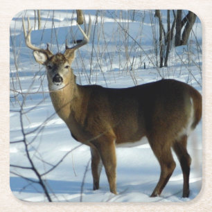 Dessous-de-verre Carré En Papier Whitetail Buck Winter