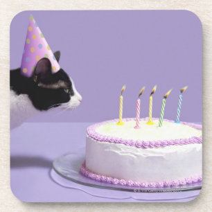 Dessous-de-verre Casquette de port d'anniversaire de chat soufflant