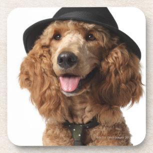 Dessous-de-verre Casquette et cravate de port d'or de chien de