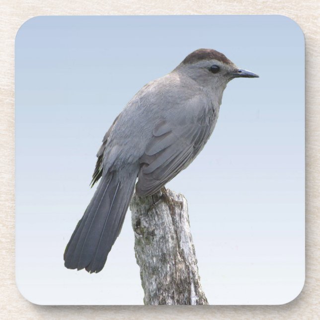 Dessous-de-verre Catbird (Devant)