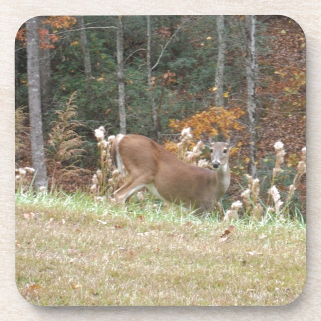 Dessous-de-verre Cerf d'automne dans le lac Arrowhead (Devant)