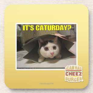 Dessous-de-verre C'est Caturday ?