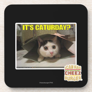 Dessous-de-verre C'est Caturday ?