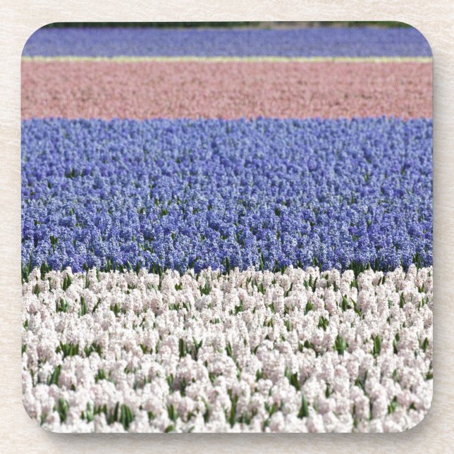 Dessous-de-verre Champ Hyacinth (Devant)