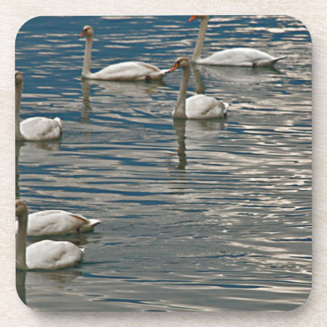 Dessous-de-verre Chanson de cygne (Devant)