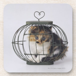 Dessous-de-verre Chat dans la cage