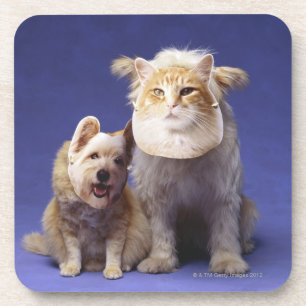 Dessous-de-verre Chat et chien avec des masques