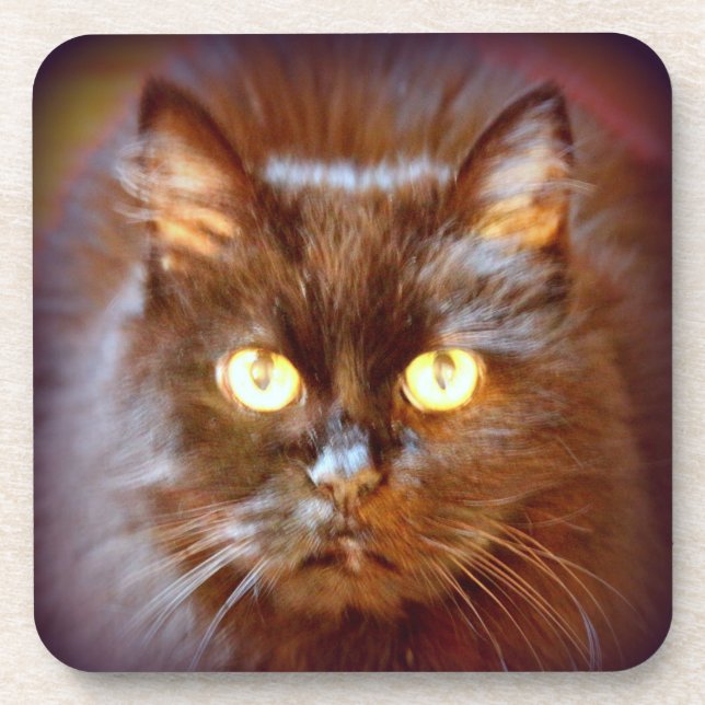 Dessous-de-verre chat noir (Devant)
