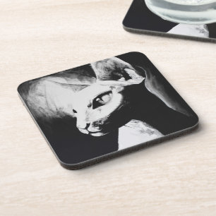Dessous-de-verre Chat Sphynx sans poils Kitty noir et blanc Art